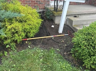 Weeding by Annette Choates for Beth N. in Buffalo, NY