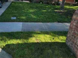 ROBERT E.'s Lawn Service service result
