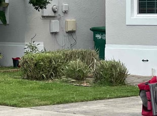 Weeding by Dwaylon Peterson for Anthony S. in Tampa, FL