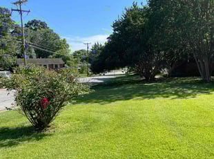 Huei S.'s Lawn Maintenance service result