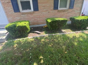 Bush Trimming by Eligio "Jr" Martinez for Jenna o. in Easton, PA