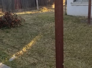 Cleanups by Joshua Catlin for Carol H. in Stockton, CA