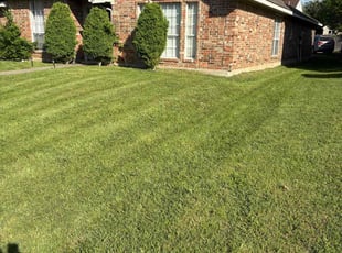 Bj M.'s Lawn Care service result