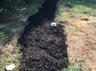 Mulching by Bridgette Hill for Michael R. in Memphis, TN