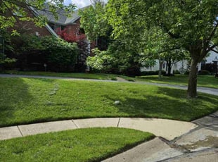 Cynthia W.'s Grass Cutting service result