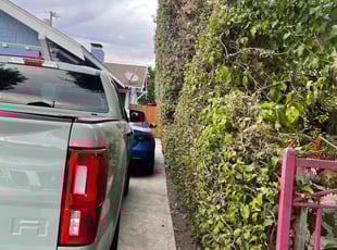 Bush Trimming by William Mendoza for Nicole Y. in Los Angeles, CA