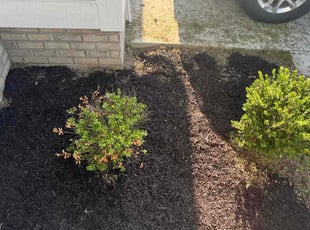 Landscaping by Davon Barnard for Tanetta H. in Chesapeake, VA