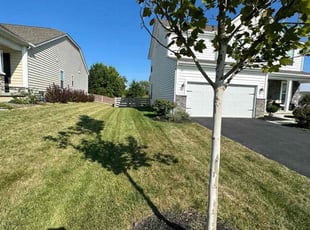 Billy j.'s Lawn Care service result