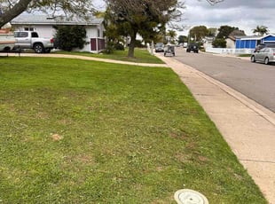 Crystal B.'s Lawn Service service result