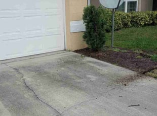 Bush Trimming by Shane Ray for Karen R. in Titusville, FL