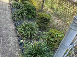 Bush Trimming by Joseph Smith for Toya M. in Baltimore, MD