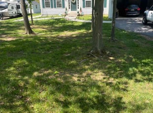 Donna M.'s Lawn Care service result