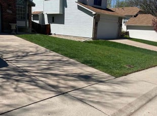 Andrew R.'s Lawn Mowing Service service result