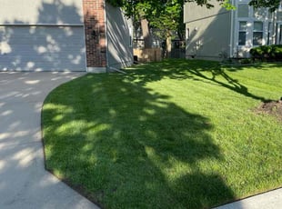Barbara P.'s Lawn Mowing service result