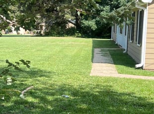 Teresa P.'s Grass Cutting service result