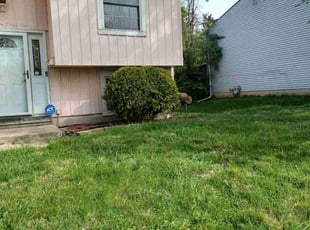 Bush Trimming by Mitchell Johnson for Cassaundra R. in Cincinnati, OH