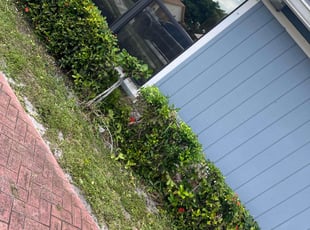 Bush Trimming by Markeith Whittaker for Jessica G. in Margate, FL