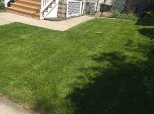 Sandra L.'s Lawn Service service result