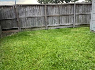 Julie H.'s Yard Cutting service result