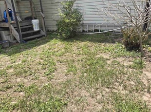 Cleanups by Brad Hardy for Evelyne M. in Winter Haven, FL