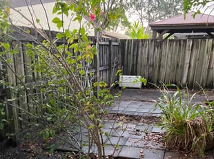 Leaf Removal by Ronnie Folks Jr for Ralph G. in Pembroke Pines, FL