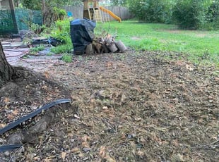 Cleanups by Jesse Mcghee for Raj G. in Omaha, NE