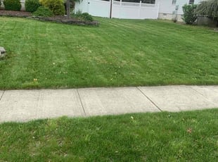 Princewill E.'s Grass Cutting service result