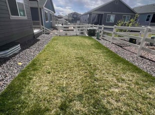 Gwen H.'s Lawn Mowing service result