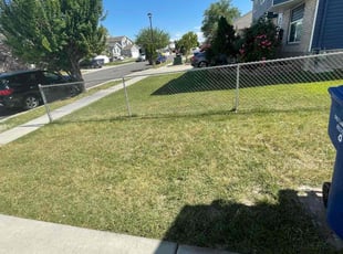 JARROD G.'s Lawn Mowing service result