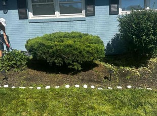 Bush Trimming by Feliciano Matos for Joanne C. in Allentown, PA