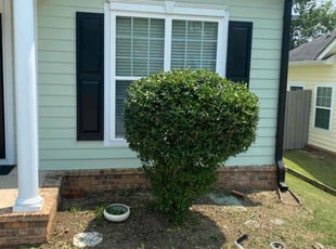 Bush Trimming by Richard Carpenter for Amy W. in Evans, GA