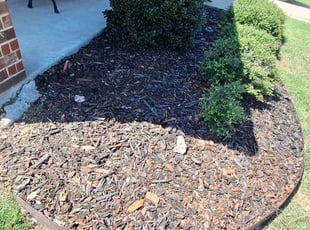 Weeding by Jesus Valencia for Brittany Y. in Little Elm, TX