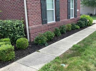 Bush Trimming by Jovis Duncan for Rebecca S. in Avon, IN