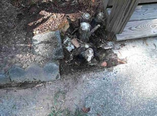 Weeding by Christopher Hunter for Donna N. in Indian Trail, NC