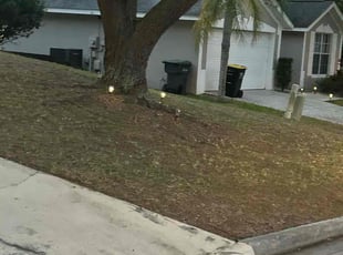 Leaf Removal by Nathan Massey for Frank C. in Davenport, FL