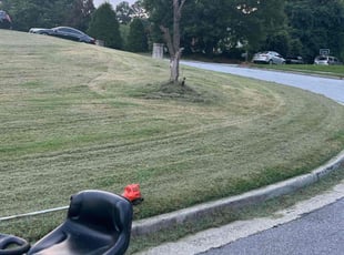 Bush Trimming by William Butler for Gloria J. in Jonesboro, GA