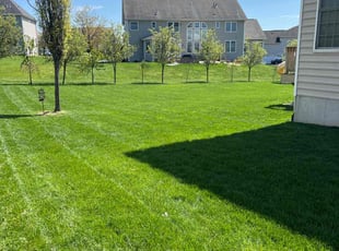 Don R.'s Lawn Service service result
