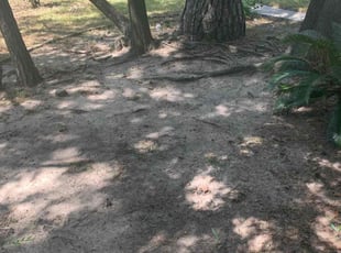 Cleanups by Anthony Simon for Rafael V. in Spring, TX