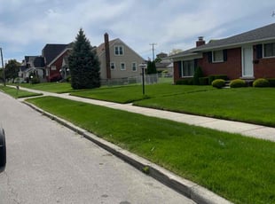 Jason C.'s Lawn Mowing service result