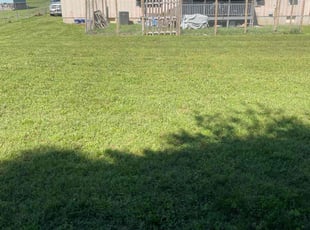 David M.'s Lawn Maintenance service result