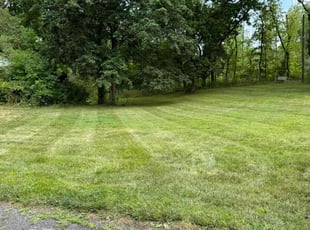 Warren S.'s Yard Cutting service result
