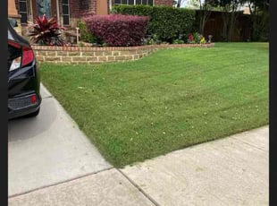 Colin T.'s Grass Cutting service result
