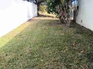 Leaf Removal by Steve Hughes for Andrew P. in West Melbourne, FL