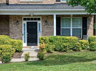 Bush Trimming by David Ward for Thomas R. in Davidson, NC