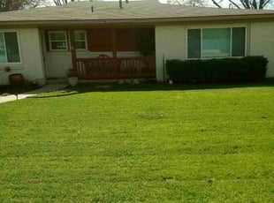 Michele B.'s Lawn Mowing service result