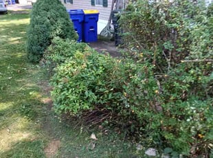 Bush Trimming by Gregeory McDannell for Ryan f. in Carlisle, PA