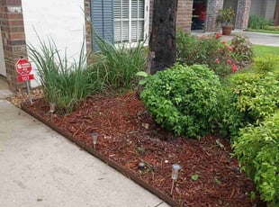 Weeding by Dwayne Angelle for Ernest H. in Lafayette, LA