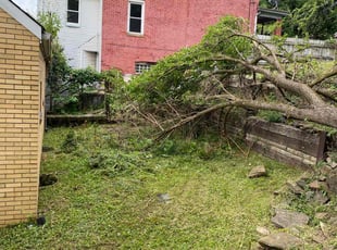 Cleanups by Sam Owori for James T. in Pittsburgh, PA