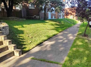 Carlisa N.'s Lawn Maintenance service result