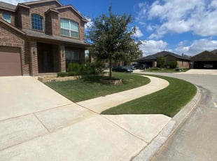 Ayesha B.'s Lawn Mowing service result